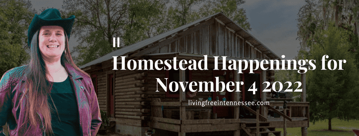 Episode 649 – Homestead Happenings for November 4 2022