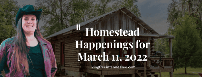 Episode 541: Homestead Happenings for March 11, 2022