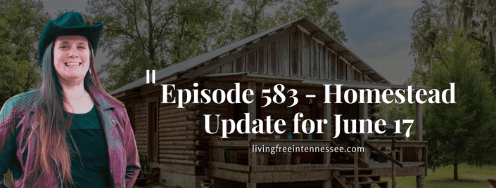 Episode 583 – Homestead Update for June 17