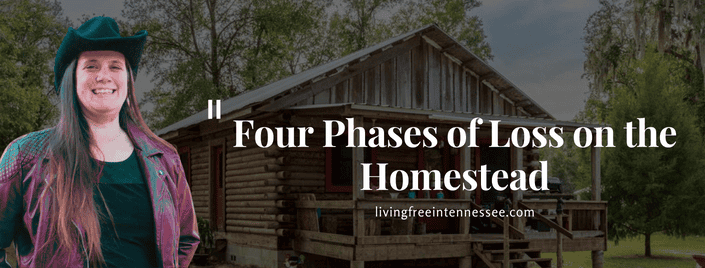 Episode 604 – Four Phases of Loss on the Homestead