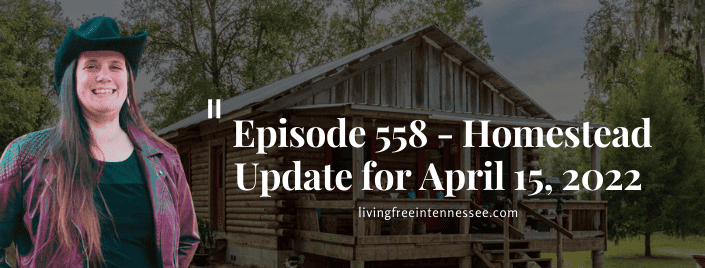 Episode 558 – Homestead Update for April 15, 2022