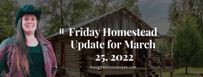 Episode 549 – Friday Homestead Update for March 25, 2022