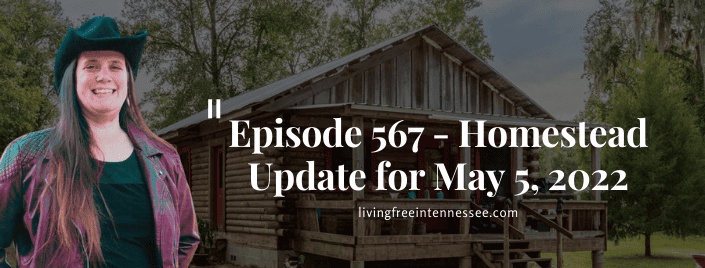 Episode 567 – Homestead Update for May 5, 2022