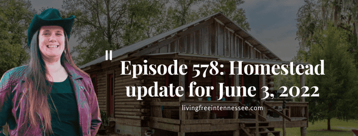 Episode 578: Homestead update for June 3, 2022