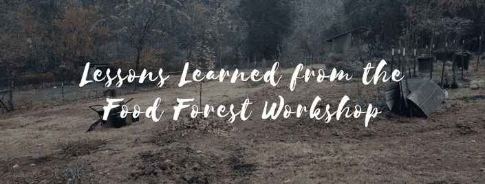 Episode 647 – Lessons Learned from the Food Forest Workshop
