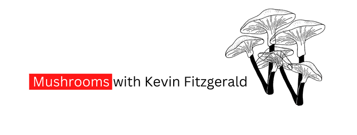 Episode 651 – Mushrooms with Kevin Fitzgerald