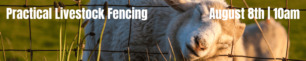 The Art of Containment: Practical Livestock Fencing