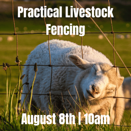 The Art of Containment: Practical Livestock Fencing