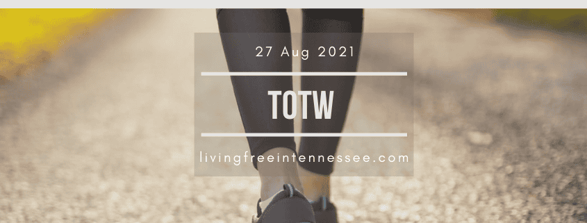 Episode 469: Thought of the Walk for Aug 27, 2021