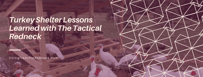 Episode 493: Turkey Shelter Lessons Learned with The Tactical Redneck