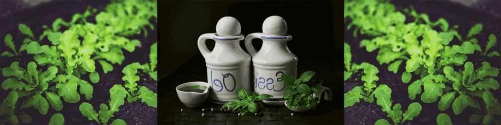Episode 391 – Reflection on Month 1 Balance