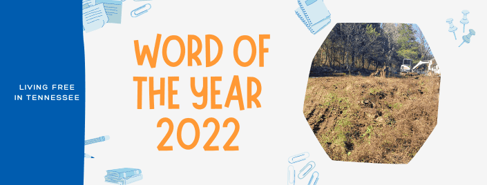 Episode 513 – Word of the year 2022