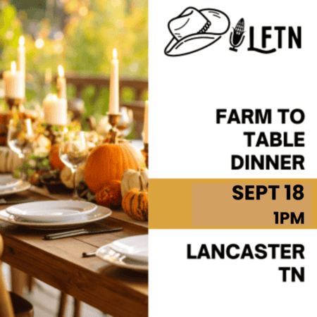 Farm To Table Experience At The Holler Homestead