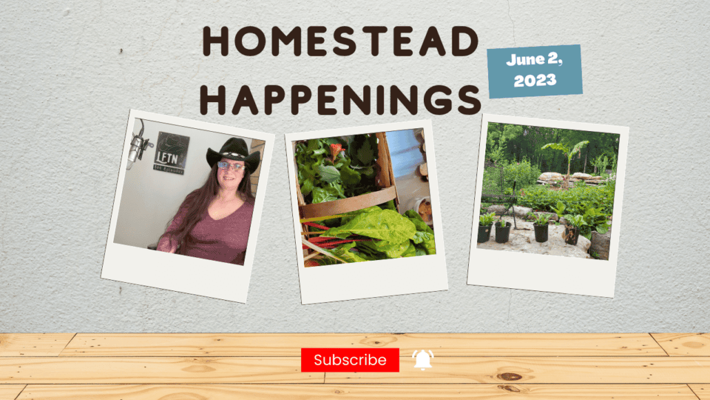 Homestead Happenings for June 2, 2023