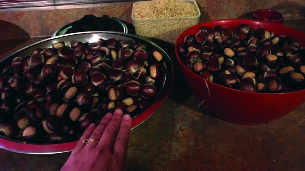 Episode 368 – Thanksgiving in the Holler