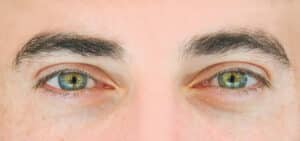 Close-up of male eyes with thick, well-shaped eyebrows.