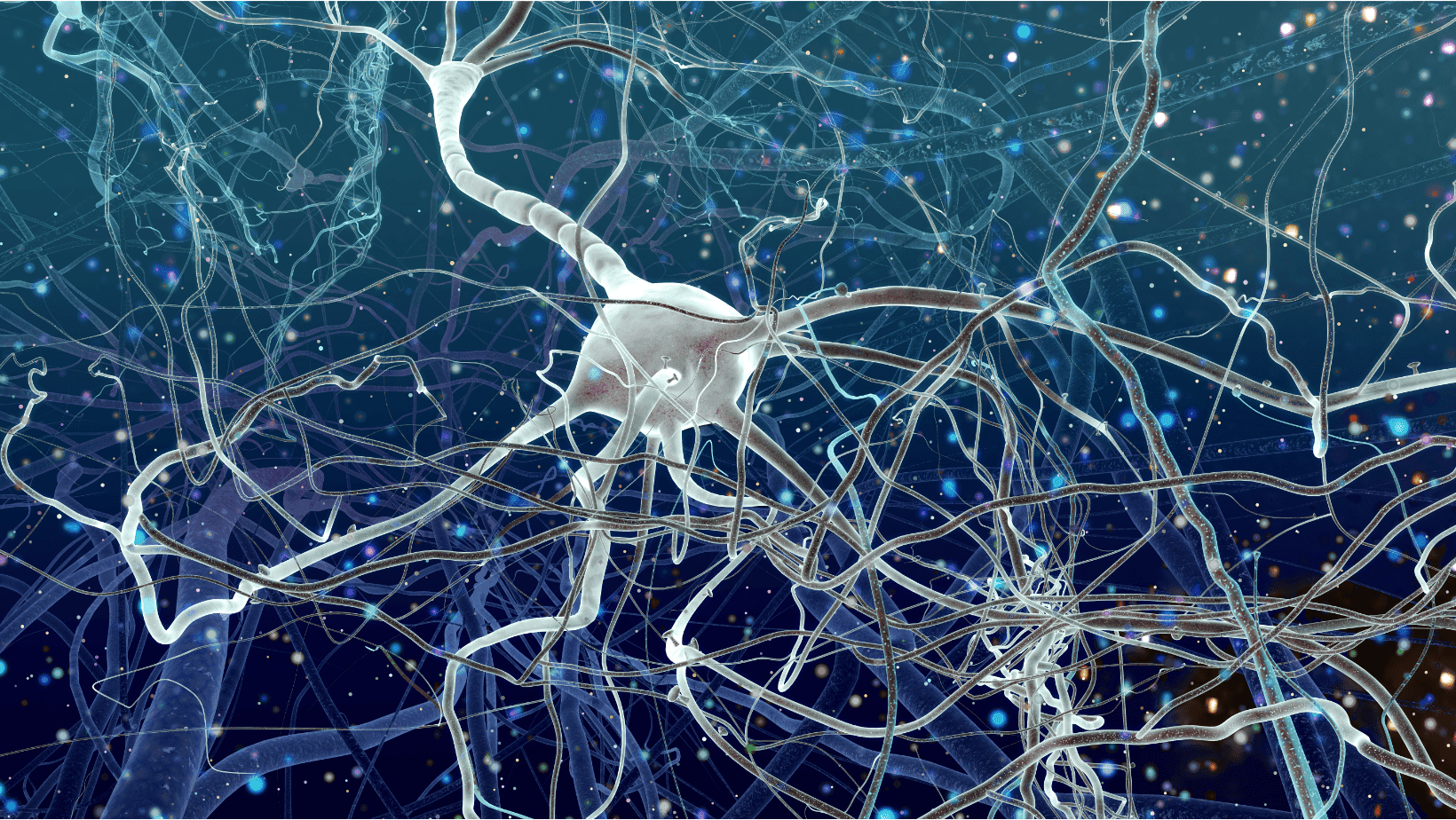 Rewiring Your Neurobiology: How to Manage Anxiety Through Self-Awareness and Consistent Soothing Techniques