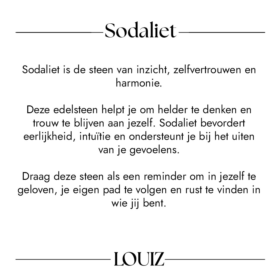 Sodaliet Betekenis
