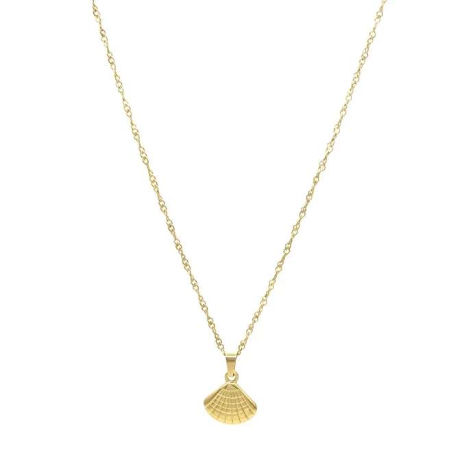 Ketting met schelp hanger