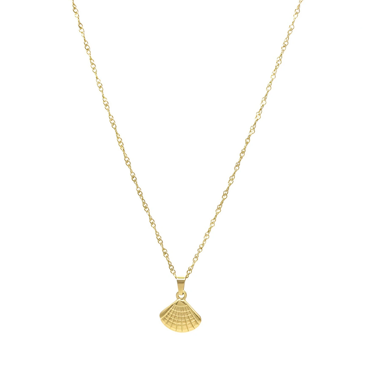 Ketting met schelp hanger