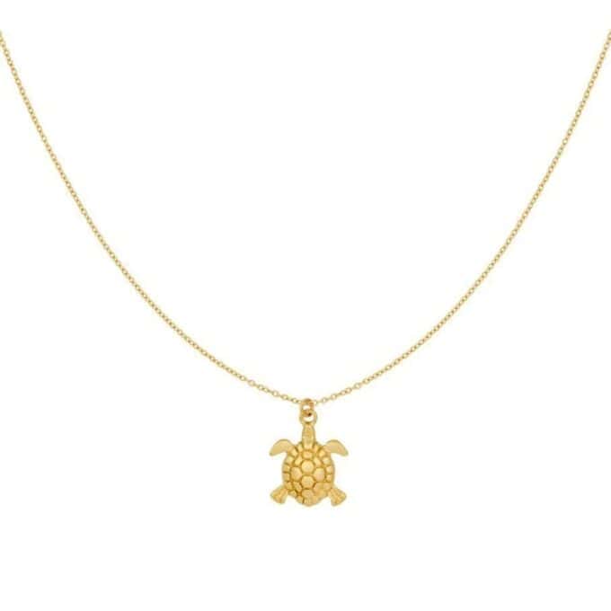 Goudkleurige ketting met schildpad