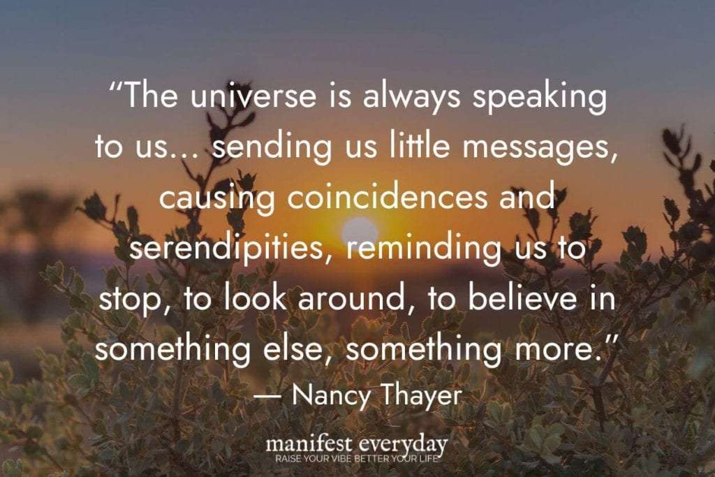 sunset with plants in a field with quote text that reads “The universe is always speaking to us... sending us little messages, causing coincidences and serendipities, reminding us to stop, to look around, to believe in something else, something more.” - Nancy Thayer manifesteveryday.com