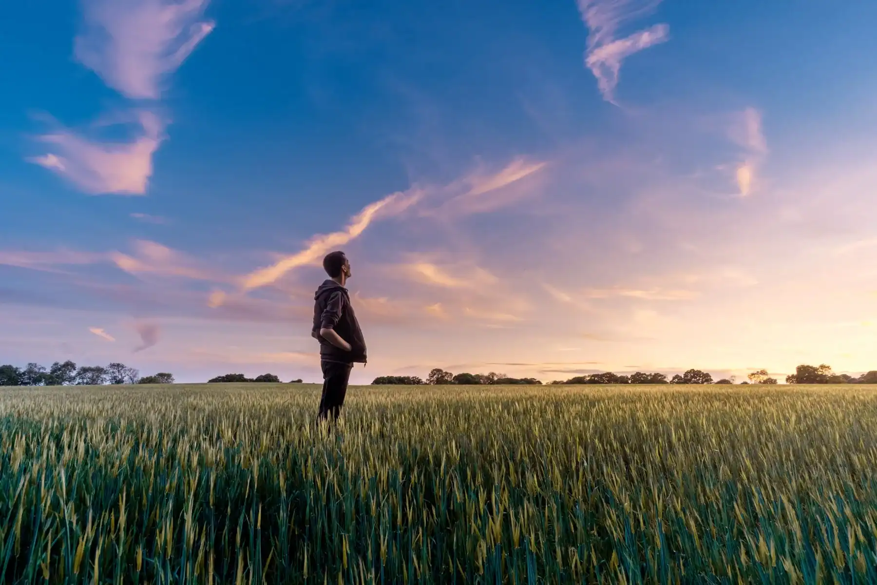Person standing in field at sunset.