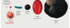 Microscopic view of coronavirus particles and comparison with PM10 and other particles affecting air quality.
