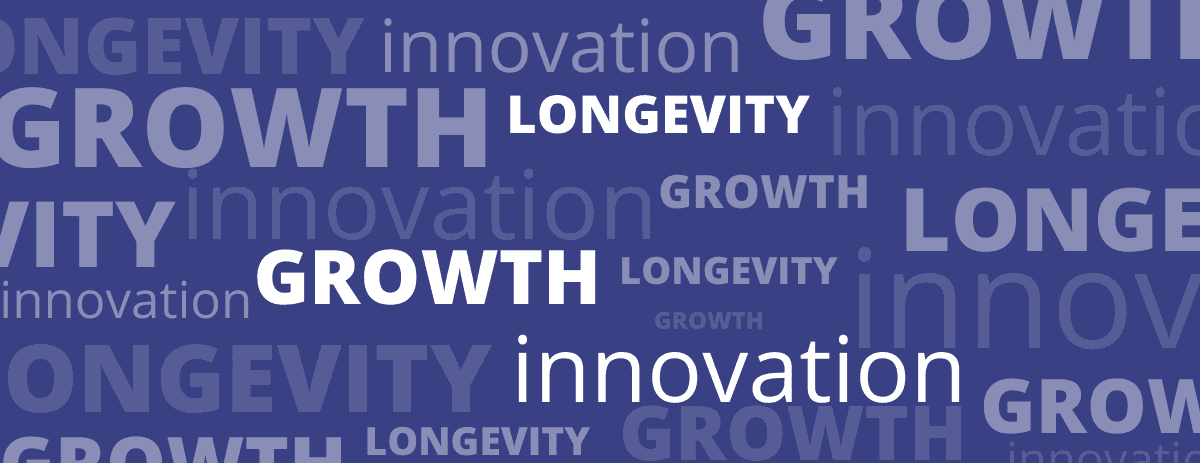 Word art of the core fundamentals of a company.