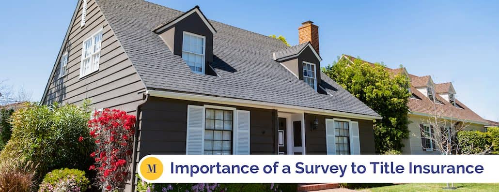 McSteen Importance of a Survey to a Land Surveyor.