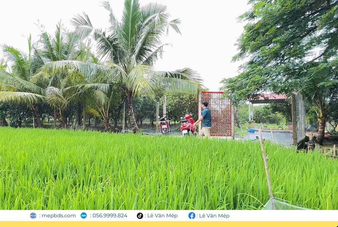 Đất vườn tại Tâm Huyết, Lê Văn Mép, phù hợp trồng trọt và nghỉ dưỡng.