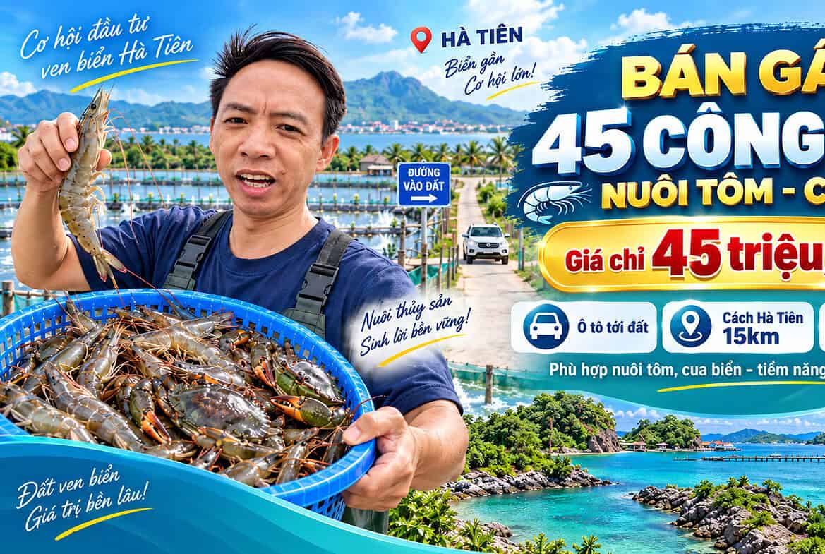 Bán 45 công đất nuôi tôm cua gần Hà Tiên giá 45 triệu một công