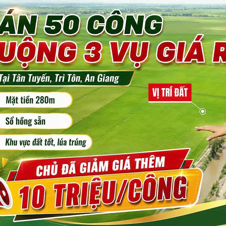 dat ruong tri ton an giang 0