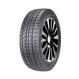 DOUBLESTAR WINTERKING DW02 245/60R18 105 S Winter