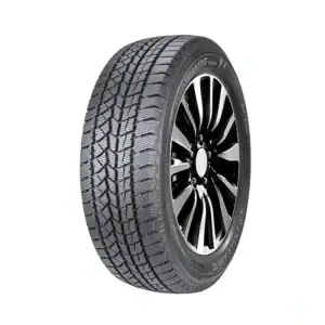 DOUBLESTAR DW02 215/55R16 93 T Winter