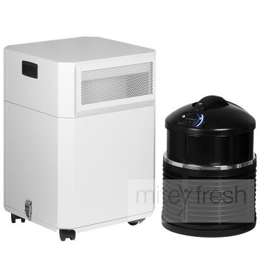 Air purifier hire service for temporary allergen, mould, or odour removal
