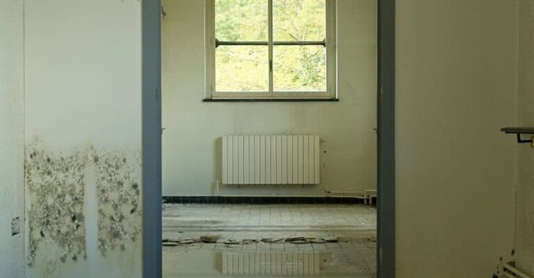 Visible signs of indoor moisture and mould growth showing damp surfaces and environmental imbalance inside a home