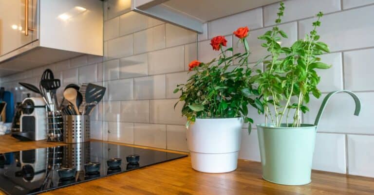 Stale air trapped inside a home contributing to lingering odours