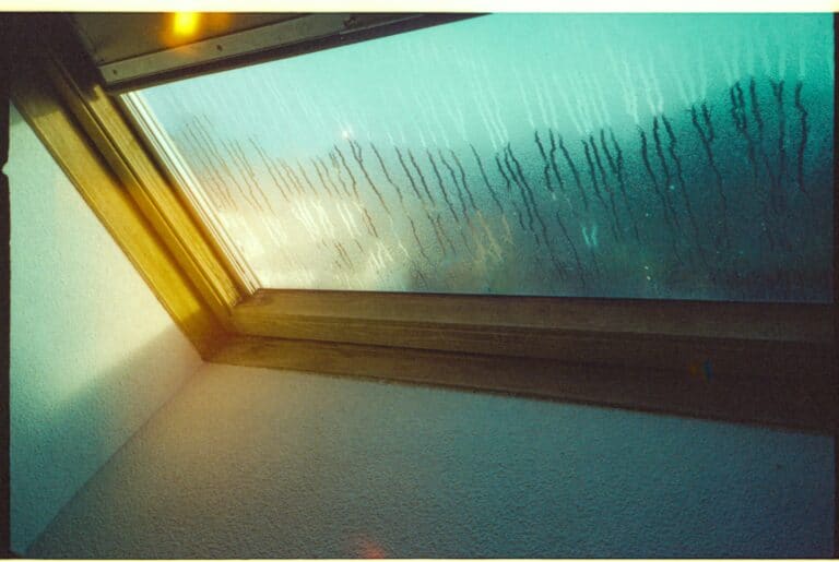 condensation on window showing indoor moisture and early signs of dampness