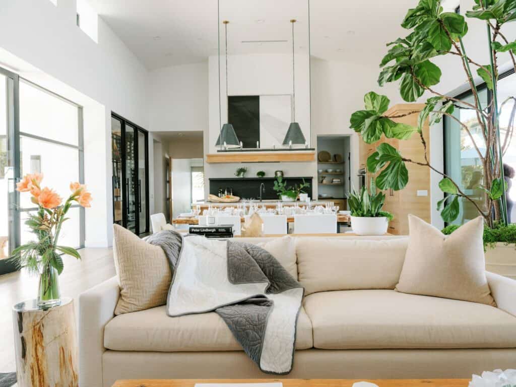 Bright living space with natural light supporting a dry, balanced indoor environment