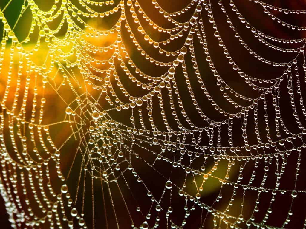 Moisture and condensation as a sign of dampness in the home