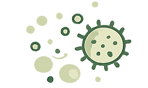 Everyday airborne indoor pollutants.