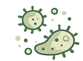 Bacteria, viruses and mould spores.