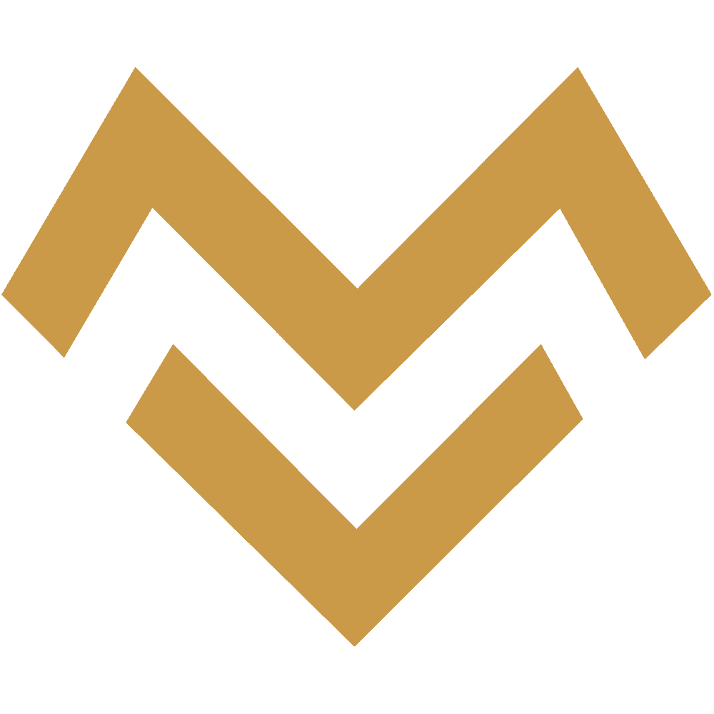 moniq e.U. | Online Marketing Agentur - Digitale Bühne