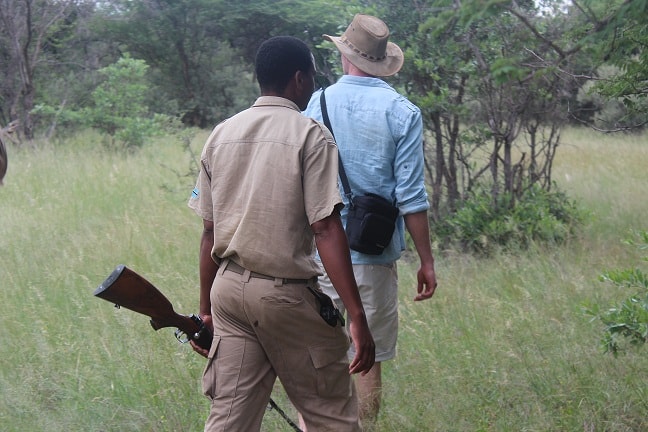 Safari og bush brunch i Botswana