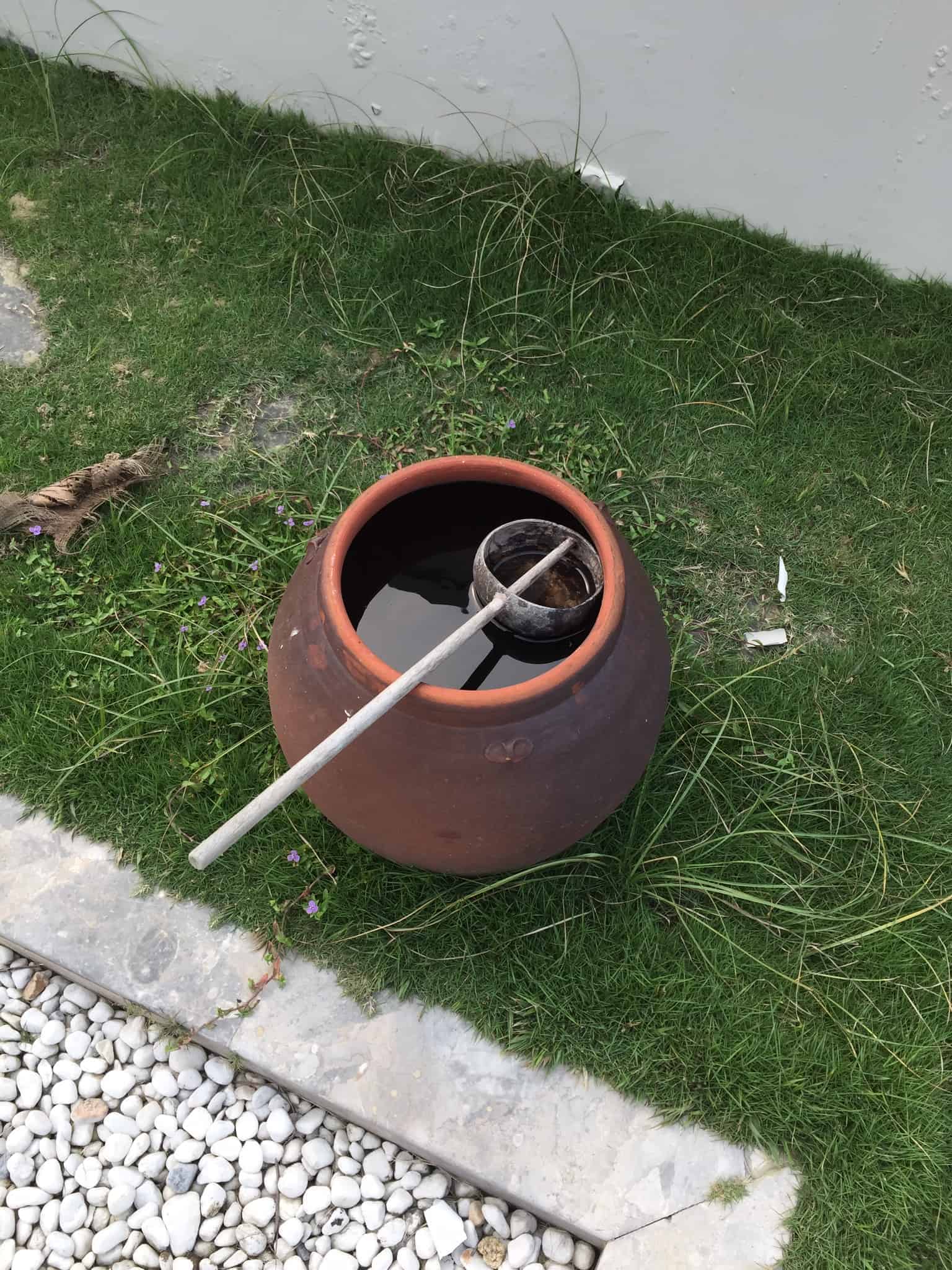 Små ekstra glimt fra en vidunderlig tur