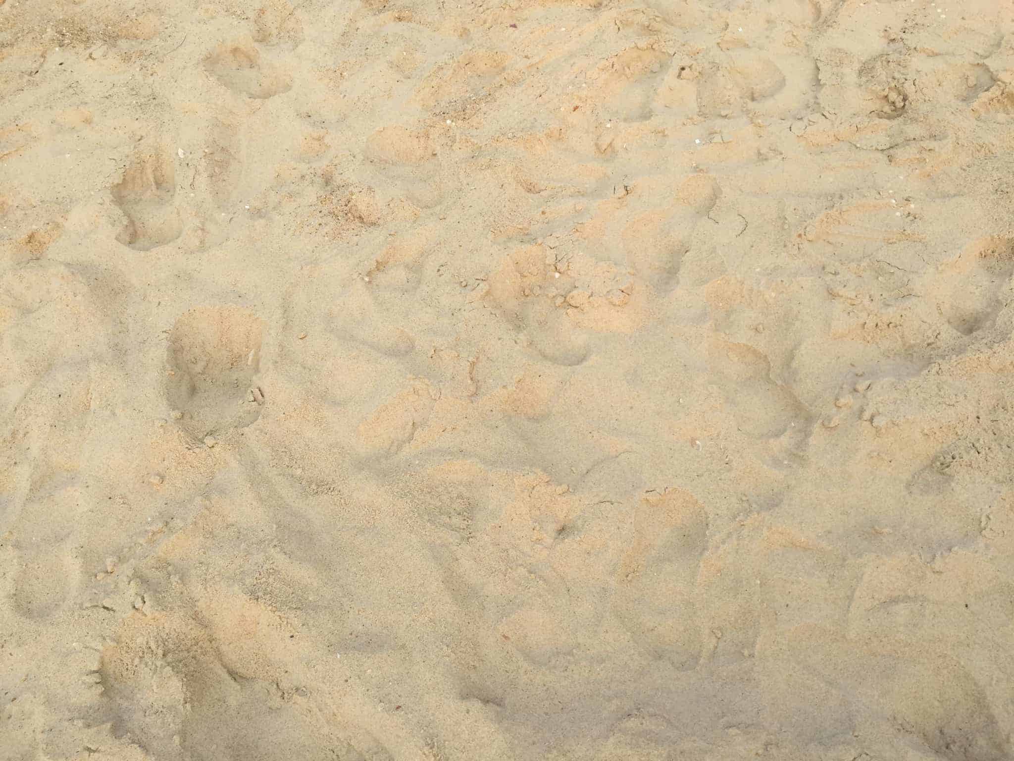 Vi nåede en hurtig gåtur på stranden inden middagen