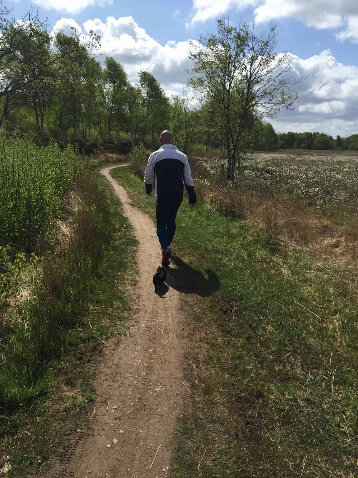 Skibshunden Bobo vokser og bliver så fræk:-)