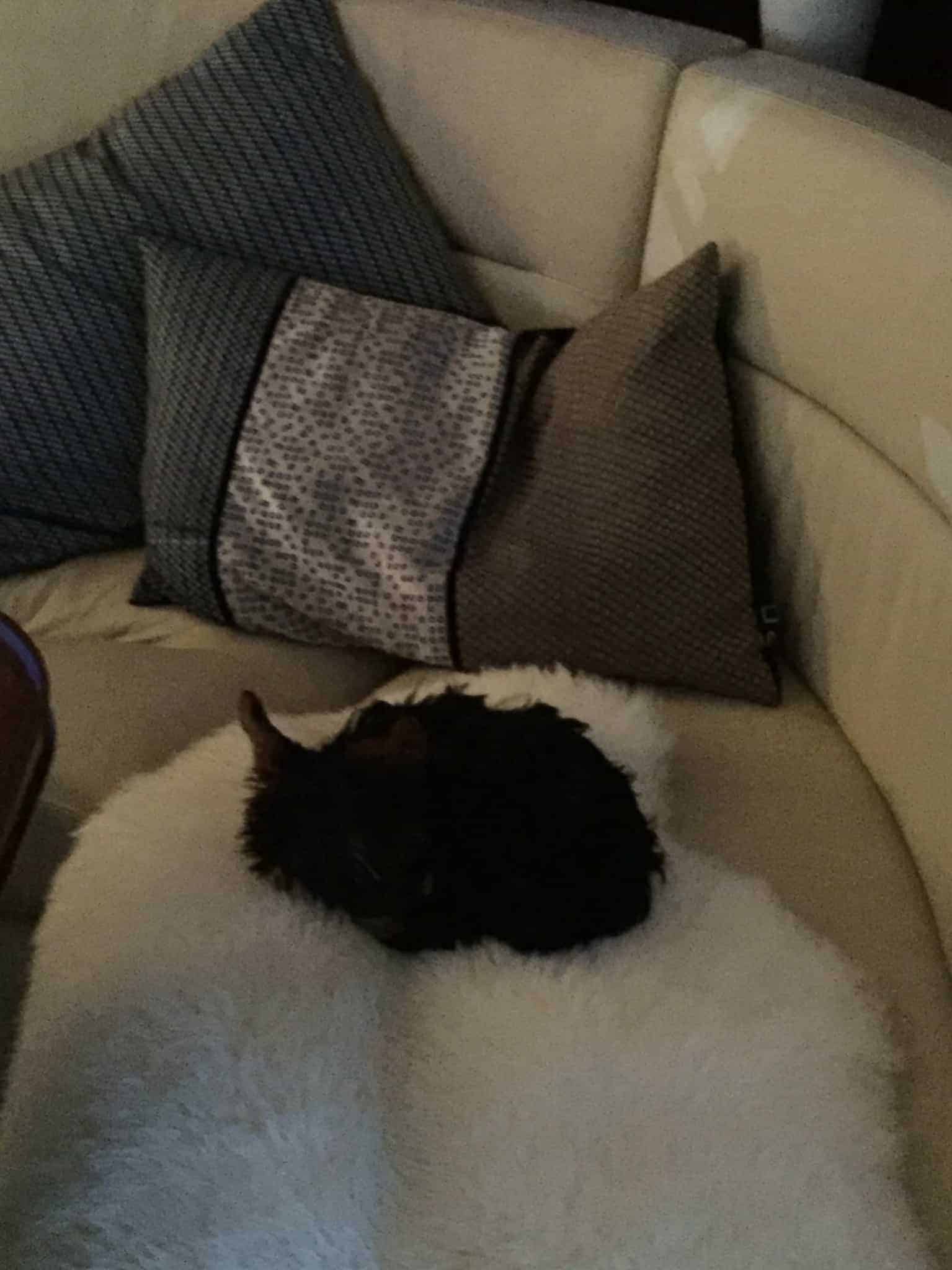 Hverdagen og Sankt Hans i regnvejr!