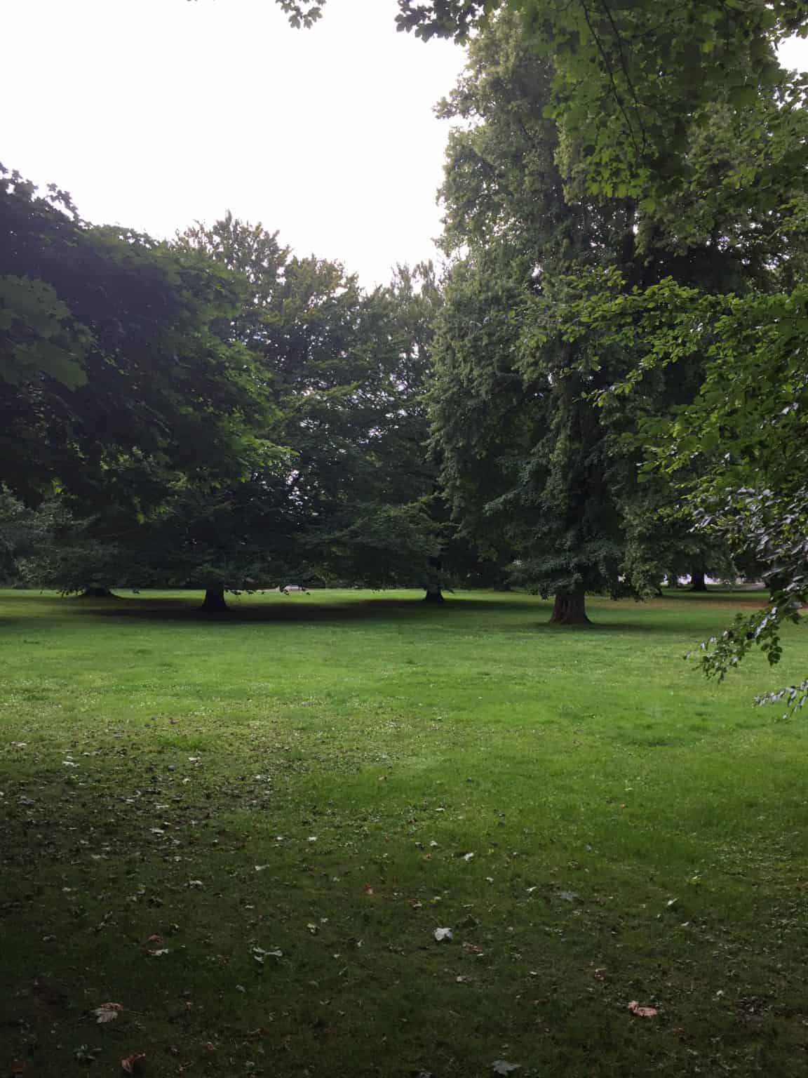 Se vores "vandhund" efter en gåtur i parken